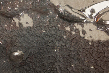 Close-up view of black tar-like substance with unique texture in open container under natural light
