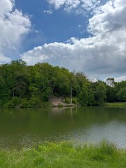 Idyllic summer nature green forest and river.
