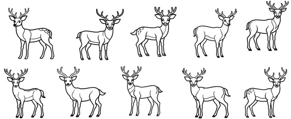  Deer vector 