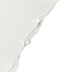Torn white paper edge on a  transparent  background. The texture is rough and uneven, creating a...