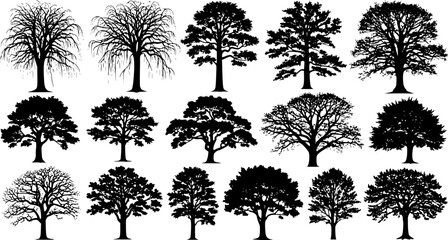 Obraz premium set of tree silhouette, black and white silhouette, vector and illustration 