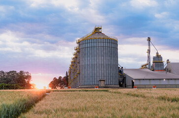 Wheat production and storage in the State of Paraná, Brazil. © Ricardo