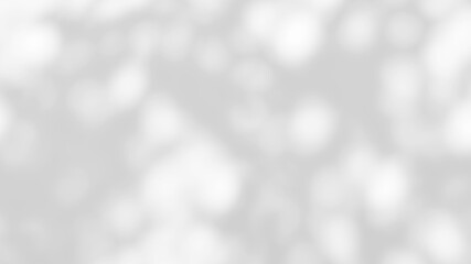 White wall with shadow of leaves overlay. Sunlight effect shadow on the wall. Minimal blurred backdrop backgrounds. Summer tropical surface background.