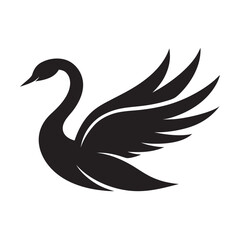 Obraz premium Swan Flying With Graceful Wingspan