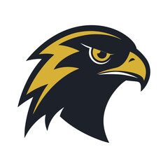 Hawk Head Close Up Fierce Look