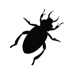 vector illustration of beetle