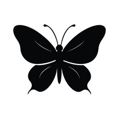butterfly vector illustration