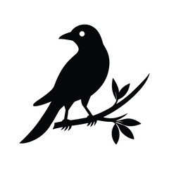 vector illustration of a bird