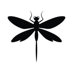 dragonfly vector illustration