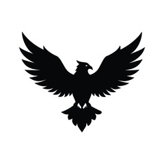 Fototapeta premium eagle with wings