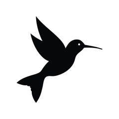 hummingbird vector illustration
