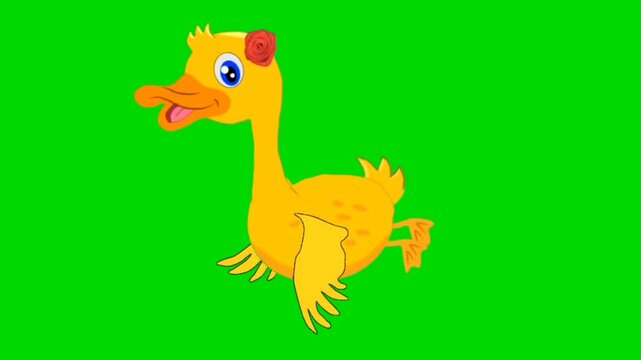 Flying and talking duck 2D Animation Green screen background stock video. Ducks animation cartoon character.