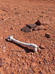 Jordan Trail long distance hiking from Dana Valley to Petra and Wadi Rum.Wadi Rum Desert, Jordan....