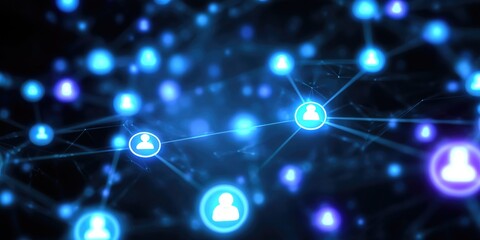 Network of Digital Connections