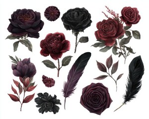 Halloween-Inspired Floral Arrangements. Vintage Watercolor Roses in Deep Red, Black, and Burgundy with Feathers and Leaves on White Background