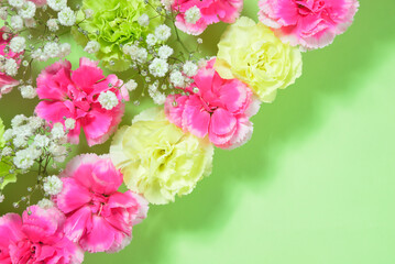 背景素材の花