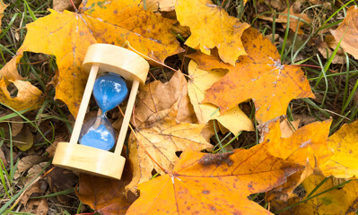 Hourglass with autumn leaves on bench in park, closeup