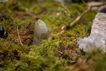 Smoky Quartz Crystal on a Bed of Moss and Earth
