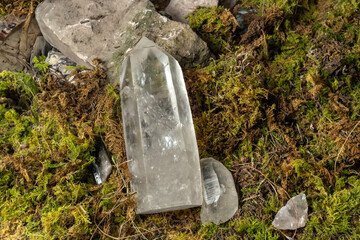 Clear Quartz Crystal on a Bed of Moss