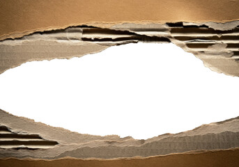 Torn Cardboard Edge with Transparent Center