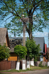 Trześcianka, Podlasie, Kraina Otwartych Okiennic, Polska