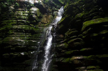 waterfall in the forest