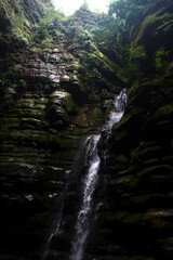 waterfall in the woods