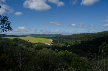 Obraz premium landscape with trees
