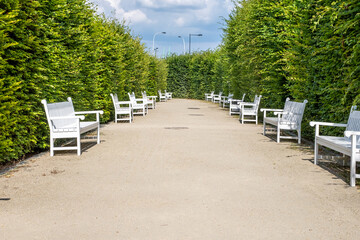Serene pathway lined with white benches and lush green hedges, inviting relaxation and...