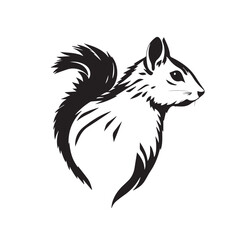 Squirrel's head silhouette. Black and White Squirrel Illustration. Squirrel Head Logo Design. 