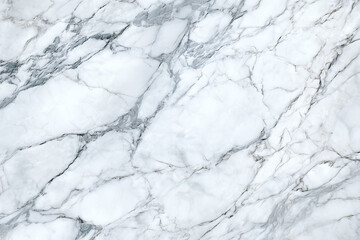 White Marble Countertop with Gray Veins