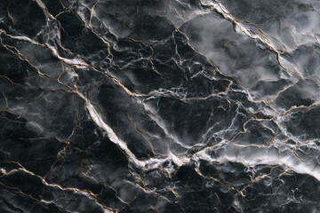 Dark Granite Countertop with White Mineral Veins