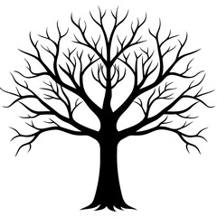 Obraz premium Bare tree silhouette isolated on white background