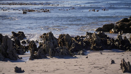 Rocky beach with sharp coastal stones and seaweed at low tide. Natural marine landscape with sand...