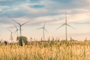 Wind turbines generating renewable energy in a wheat field, symbolizing sustainable agriculture and...