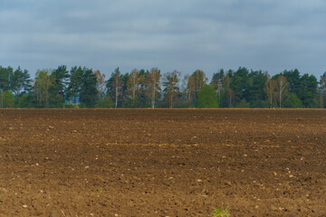 A freshly plowed agricultural field. Preparation of the soil for sowing wheat.