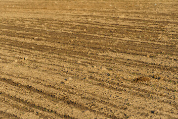 Rows of soil before planting. Drawing of furrows on a plowed field prepared for spring sowing of...