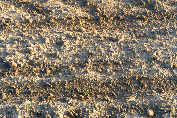 Rows of soil before planting. Drawing of furrows on a plowed field prepared for spring sowing of agricultural crops. View of the land prepared for planting and growing crops.