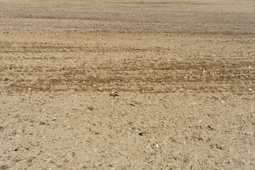 Rows of soil before planting. Drawing of furrows on a plowed field prepared for spring sowing of...
