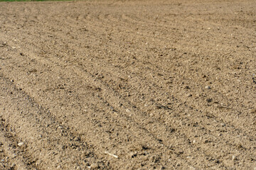Rows of soil before planting. Drawing of furrows on a plowed field prepared for spring sowing of...