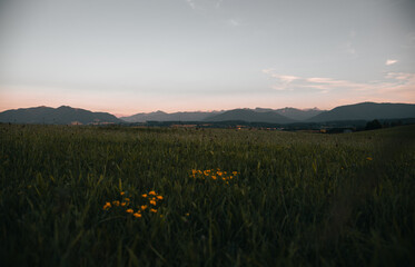 Bavarian Mountains during sunset in summer