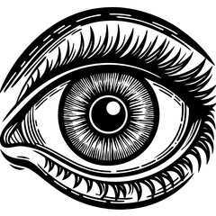 human eye vector