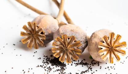 poppy seeds on white background