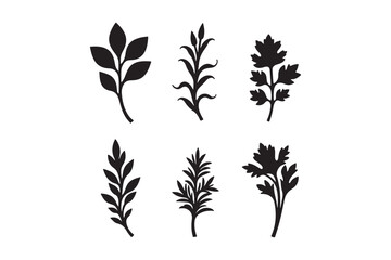 Fototapeta premium Collection of six stylized black leaf and branch silhouettes on a white background