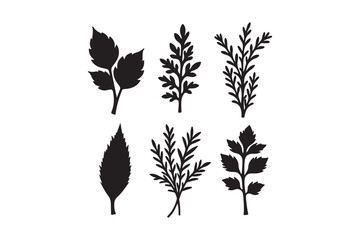 Collection of black silhouettes of various delicate botanical leaves and branches