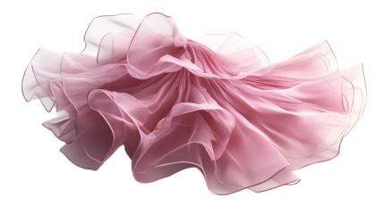 Petticoat for Underwear and Dress Lifting - Isolated on White Background