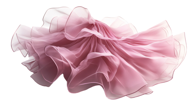 Petticoat for Underwear and Dress Lifting - Isolated on White Background