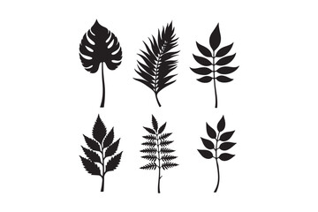 Collection of six black silhouette tropical and fern leaf designs