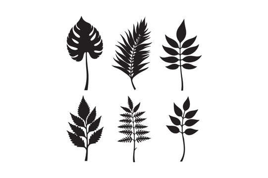 Collection of six black silhouette tropical and fern leaf designs