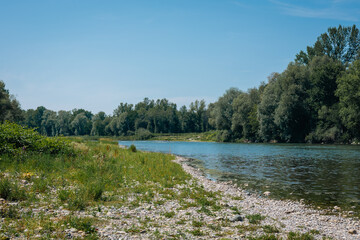 serene view of the Drava River near Ptuj, with calm blue water flowing between rocky, grassy banks. Dense green trees line the horizon under a clear blue sky, creating a peaceful natural landscape.